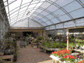 National Structures have just completed work at Dents Garden Centre