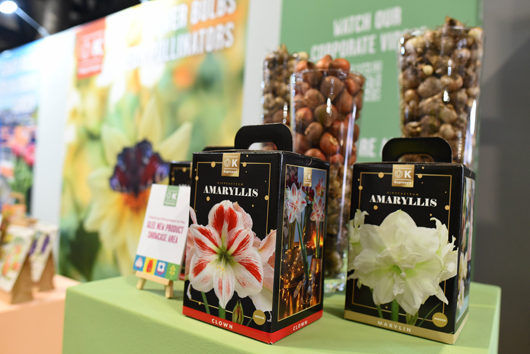 Glee 2025 - Build Up part 2 GTN150925 017.jpg