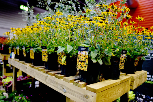 Glee 2025 - Build Up part 2 GTN150925 010.jpg