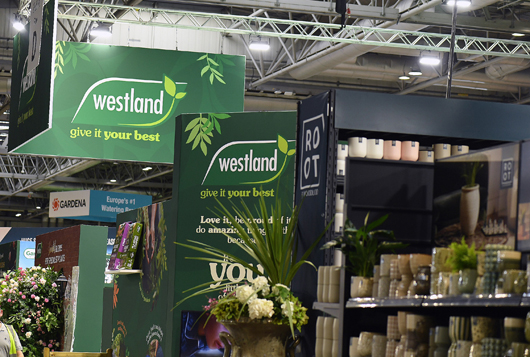 Glee 2025 - Build Up part 2 GTN191016 035.jpg